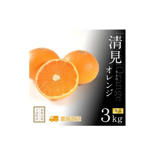 ふるさと納税 みかん・柑橘類 和歌山県 和歌山市 清見オレンジ 約3kg M・L・2L・3Lサイズおまかせ [赤秀] 和歌山県産 農園直送 まごころ産直みかん 北海道・…