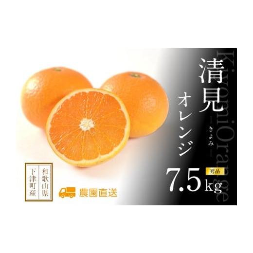 ふるさと納税 みかん・柑橘類 和歌山県 和歌山市 清見オレンジ 約7.5kg M・L・2L・3Lサイズおまかせ [赤秀] 和歌山県産 農園直送 まごころ産直みかん 北海道…