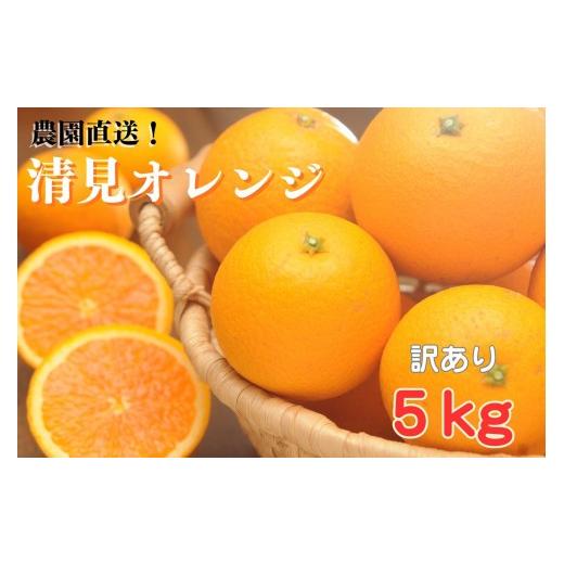 ふるさと納税 みかん・柑橘類 和歌山県 和歌山市 清見オレンジ 約5kg 大小混合 [ご家庭用] ちょっと訳あり 和歌山県産 農園直送 まごころ産直みかん 北海道…