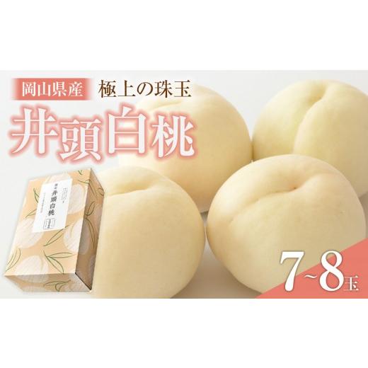 ふるさと納税 もも 岡山県 岡山市 桃 2026年6月発送 井頭 白桃 7〜8玉入り 2.2kg規格箱 もも モモ 岡山県産 国産 フルーツ 果物 ギフト 井頭栄果園