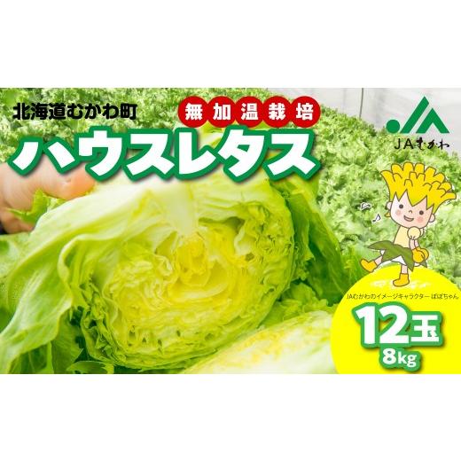 ふるさと納税 野菜類 北海道 むかわ町 2026年3月下旬より発送 ハウスレタス ふるさと納税 人気 おすすめ ランキング レタス ハウスレタス 野菜 サラダ こだわ…