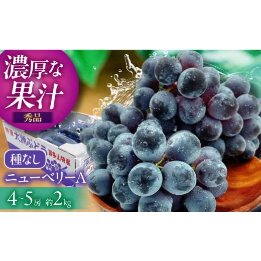ふるさと納税 果物類 ぶどう 愛媛県 大洲市 ぶどう 先行予約 2026年8月中旬から順次発送 大洲市産 ニューベリーA 4-5房入 2.0kg 果物 フルーツ デザート 旬 数…
