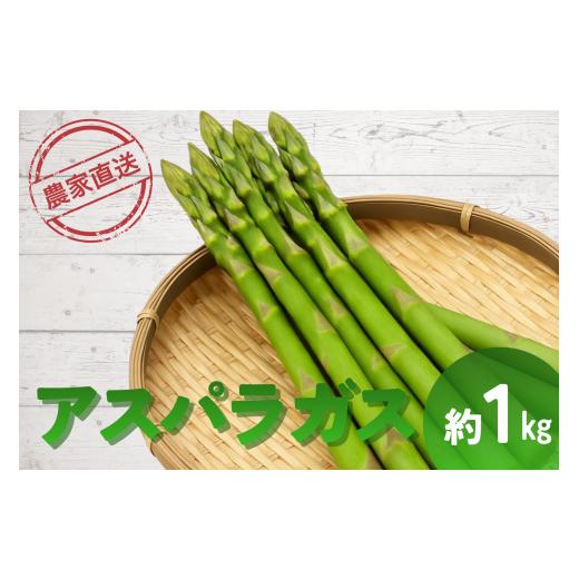 ふるさと納税 野菜類 アスパラガス 長野県 豊丘村 2026年4月〜順次発送 極太 アスパラガス 約1kg