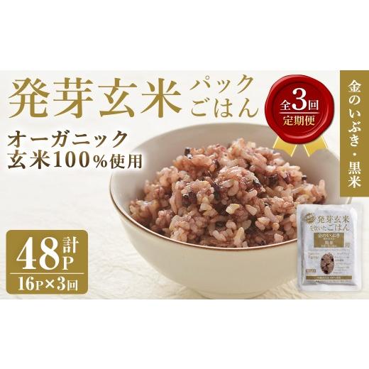 ふるさと納税 玄米 宮城県 登米市 3ヶ月定期便 発芽玄米パックご飯 計48パック(16パック×3回) 金のいぶき発芽玄米 黒米 発芽玄米 レンジ 有機栽培 パックご…