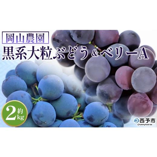 ふるさと納税 果物類 ぶどう 愛媛県 西予市 黒系大粒ぶどう&ベリーAセット 約2kg 果物 くだもの フルーツ 葡萄 ブドウ 旬のぶどう 青果 品種お任せ 甘い 特…