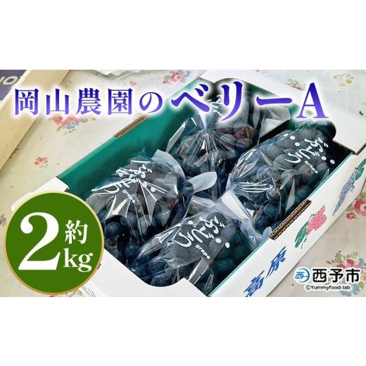 ふるさと納税 果物類 ぶどう 愛媛県 西予市 ベリーA 約2kg 果物 くだもの フルーツ 葡萄 ブドウ 皮ごと食べられる 果実 青果 甘い あまい 贈り物 贈答 ギフト…
