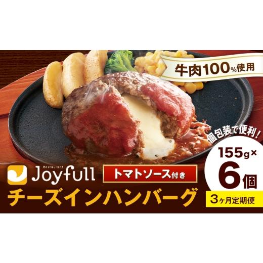 ふるさと納税 肉 ハンバーグ 熊本県 菊池市 3ヶ月定期便 ジョイフルハンバーグ チーズインハンバーグ トマトソース付 6個 1個155g 生ハンバーグ ソース付き …