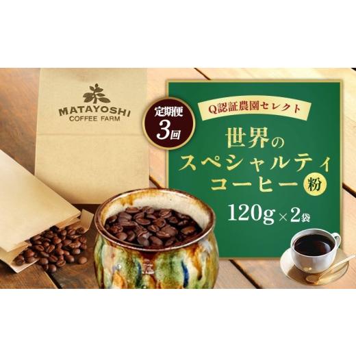 ふるさと納税 コーヒー コーヒー粉 沖縄県 東村 定期便:3回 又吉コーヒー園セレクト 世界のスペシャルティコーヒー (粉・中挽き)120g×2袋 スペシャルティ…