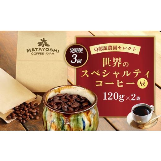 ふるさと納税 コーヒー コーヒー豆 沖縄県 東村 定期便:3回 又吉コーヒー園セレクト 世界のスペシャルティコーヒー (豆のまま)120g×2袋 スペシャルティ …
