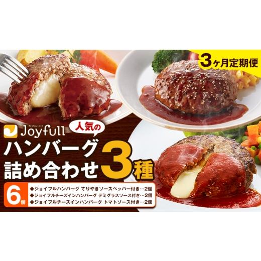 ふるさと納税 肉 ハンバーグ 熊本県 菊池市 3ヶ月定期便 ジョイフルハンバーグ 人気の詰め合わせ 6個 生ハンバーグ チーズインハンバーグ 1個120g ソース付き…