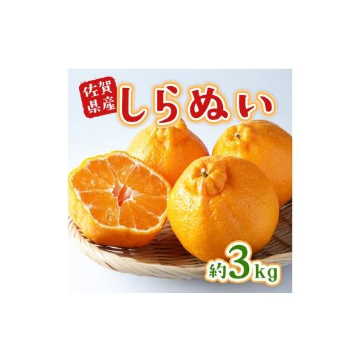 ふるさと納税 果物類 みかん 佐賀県 伊万里市 佐賀県産 不知火 約3kg