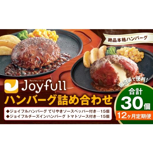ふるさと納税 肉 ハンバーグ 熊本県 菊池市 12ヶ月定期便 ジョイフルハンバーグ アソート詰め合わせ 合計30個 2種類×各15個 生ハンバーグ チーズインハンバ…