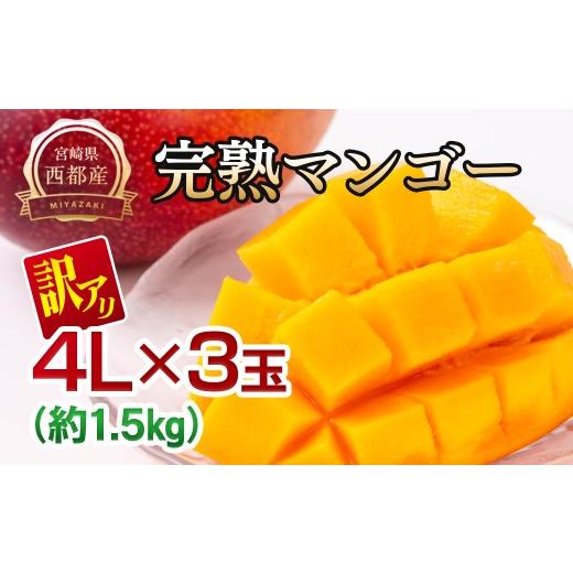 ふるさと納税 マンゴー 宮崎県 西都市 JA選果 訳あり 完熟マンゴー 特大4L×3玉 糖度12度以上 先行予約 2026年発送 宮崎完熟マンゴー 西都市産 果物 フルーツ…