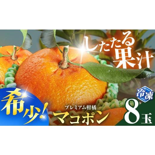 ふるさと納税 果物類 みかん 大分県 中津市 冷凍 マコポン 8玉 | フルーツ 果物 くだもの 果実 柑橘 柑橘類 まこぽん マコポン オレンジ ゼリーオレンジ 国産 …