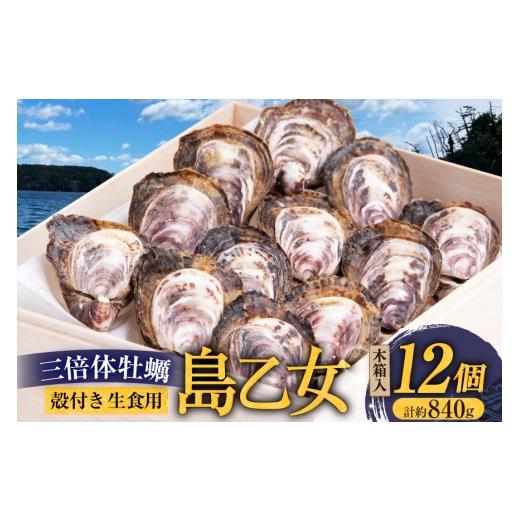 ふるさと納税 牡蠣 生牡蠣 宮城県 気仙沼市 殻付き牡蠣 生食用 三倍体牡蠣 島乙女 約840g 12個入 カネキ水産 宮城県 気仙沼市 20565985 牡蠣 期間限定 冷蔵 新…
