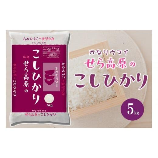 ふるさと納税 米・パン 広島県 尾道市 広島県産せら高原のこしひかり5kg