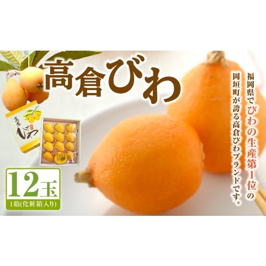ふるさと納税 果物類 びわ 福岡県 岡垣町 高倉びわ 化粧箱 ( 12玉入り ) 1箱 びわ ビワ フルーツ 果物 くだもの 先行予約 2026年5月上旬〜6月上旬発送予定