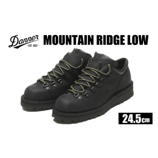 ふるさと納税 ファッション 靴 石川県 志賀町 DANNER 紳士靴 マウントリッヂ ロー BLACK 24.5cm STUMPTOWN渋谷店 石川県 志賀町 sk17jkf70292-1 靴 くつ レザ…