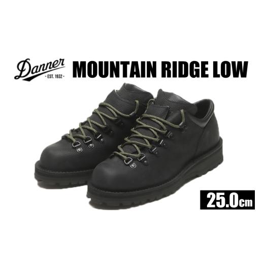 ふるさと納税 ファッション 靴 石川県 志賀町 DANNER 紳士靴 マウントリッヂ ロー BLACK 25.0cm STUMPTOWN渋谷店 石川県 志賀町 sk17jkf70292-2 靴 くつ レザ…の画像