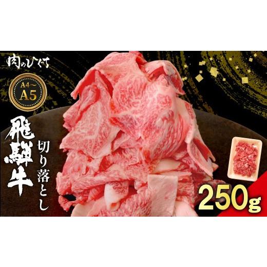 ふるさと納税 牛肉 炒め物 岐阜県 東白川村 6月発送 飛騨牛 切り落とし 250g A5 A4 国産 牛 黒毛和牛 和牛 牛肉 切落し 切り落し 薄切り 訳あり 牛丼 すき焼…