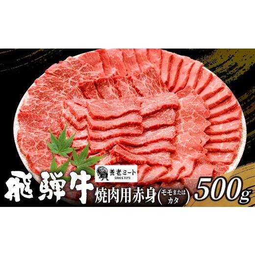 ふるさと納税 牛肉 モモ 岐阜県 東白川村 6月発送 贅沢 飛騨牛 モモまたはカタ 焼肉用 500g 2〜3人前 牛肉 和牛 肉 焼肉 BBQ 霜降り カルビ 赤身 モモ カタ …