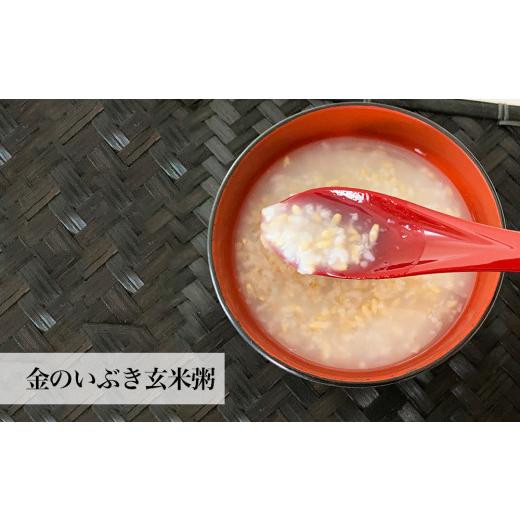 ふるさと納税 玄米 宮城県 石巻市 金のいぶき(玄米粥)セット ヨシ腐葉土 宮城県 石巻市 げんまい 玄米粥 常温保存 お米 ごはん 防災減災
