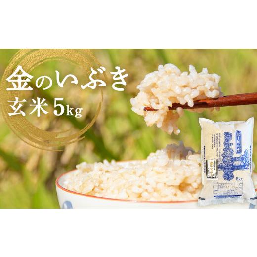 ふるさと納税 玄米 宮城県 石巻市 米 令和7年産 金のいぶき 玄米 5kg 宮城県産 お米 国産 ヨシ腐葉土米 コメ 5キロ 少量 小分け 家庭用 ご飯 げんまい ご当地…