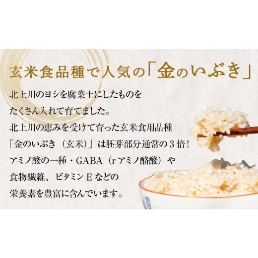ふるさと納税 玄米 宮城県 石巻市 米 令和7年産 金のいぶき 玄米 5kg 宮城県産 お米 国産 ヨシ腐葉土米 コメ 5キロ 少量 小分け 家庭用 ご飯 げんまい ご当地…