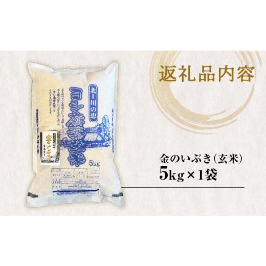 ふるさと納税 玄米 宮城県 石巻市 米 令和7年産 金のいぶき 玄米 5kg 宮城県産 お米 国産 ヨシ腐葉土米 コメ 5キロ 少量 小分け 家庭用 ご飯 げんまい ご当地…