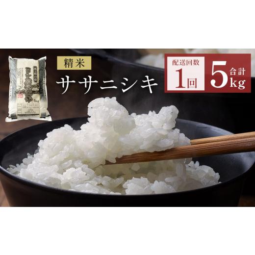 ふるさと納税 米 ササニシキ 宮城県 石巻市 米 令和7年産 ササニシキ 精米 5kg 単品 こめ コメ お米 ご飯 白米 ささにしき 防災減災