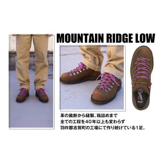 ふるさと納税 ファッション 靴 石川県 志賀町 DANNER 紳士靴 マウントリッヂ ロー BROWN ブラウン 25.0cm STUMPTOWN渋谷店 石川県 志賀町 sk17jkf70291-2 靴 …の画像