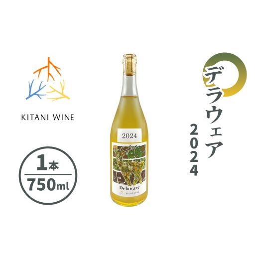 ふるさと納税 ワイン 白ワイン 奈良県 香芝市 木谷ワイン デラウェア2024|日本ワイン 国産ワイン 白ワイン フルーティー フレッシュ ぶどうワイン 奈良 ワイ…