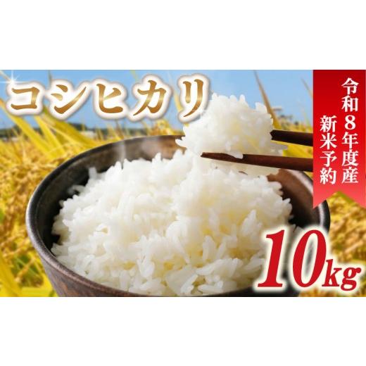 ふるさと納税 米 コシヒカリ 千葉県 旭市 先行予約 令和8年産 新米 米 コシヒカリ 10kg 精米 白米 新米10kg 2026年度 8年産 お米 ご飯 こめ コメ kome ライス …