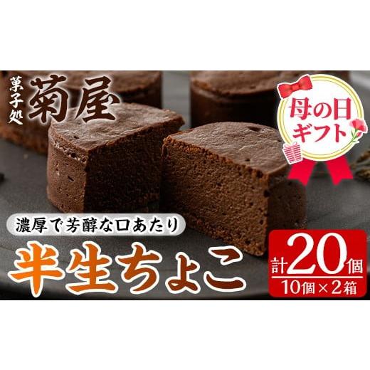 ふるさと納税 ケーキ・カステラ チョコレートケーキ 鹿児島県 いちき串木野市 ＼令和8年 母の日/濃厚で芳醇 ふんわりかるーい チョコレートケーキ 半生ちょこ…