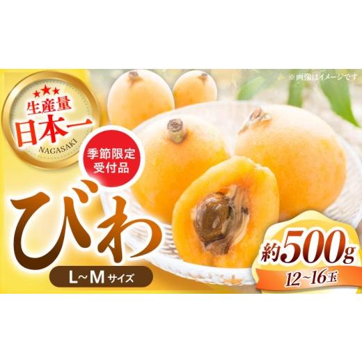 ふるさと納税 果物類 びわ 長崎県 川棚町 L〜Mサイズ びわ 約500g (12〜16玉) グリーン東彼新鮮市場 OAE004 びわ ビワ 枇杷 500g 季節もの フルーツ 果物 b…