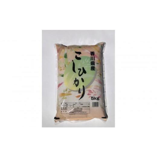 ふるさと納税 米 コシヒカリ 香川県 坂出市 令和7年度 香川県産コシヒカリ5kg
