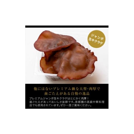 ふるさと納税 野菜類 きのこ 新潟県 関川村 肉厚でプレミアムジャンボ あらかわ生しいたけ&amp;生キクラゲセット 1718291