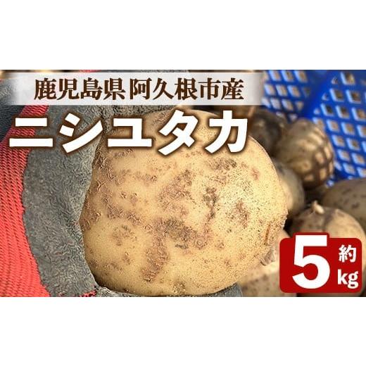 ふるさと納税 野菜類 じゃがいも 鹿児島県 阿久根市 先行予約受付中 2026年6月以降順次発送予定 じゃがいも ニシユタカ(5kg) 国産 鹿児島県産 阿久根市産 じ…