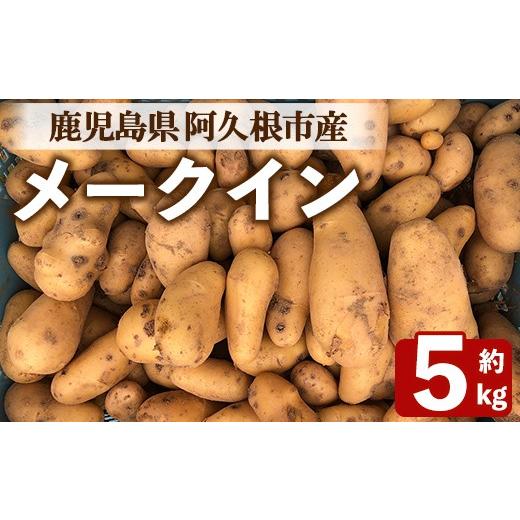 ふるさと納税 野菜類 じゃがいも 鹿児島県 阿久根市 先行予約受付中 2026年6月以降順次発送予定 じゃがいも メークイン(5kg) 国産 鹿児島県産 阿久根市産 じ…