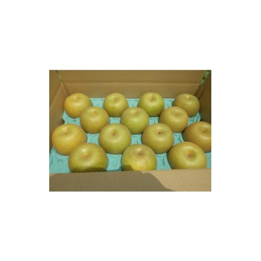 ふるさと納税 梨 静岡県 磐田市 限定30口 梨『幸水』5kg 2026年8月上旬より発送予定 1719699