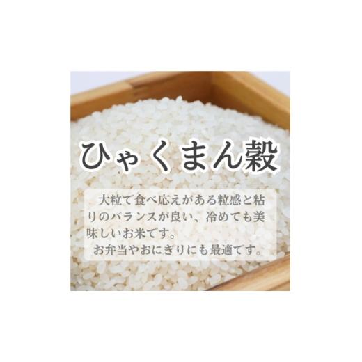 ふるさと納税 米 石川県 白山市 特別栽培米 ひゃくまん穀 精米5kg 1695698