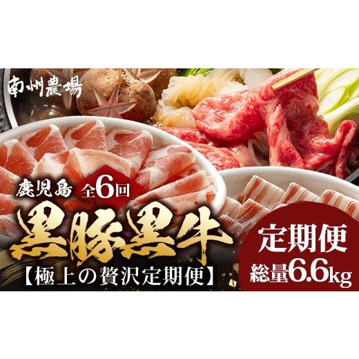 ふるさと納税 豚肉 ロース 鹿児島県 南大隅町 定期便全6回 黒豚・黒牛の極上の贅沢定期便 〜牛肉と豚肉交互に楽しむ贅沢なひととき〜 NS-38 | 牛 肉 お肉 ブ…