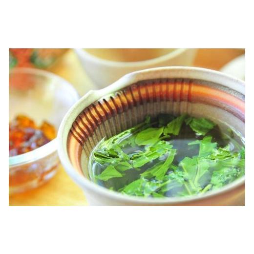 ふるさと納税 お茶類 緑茶(茶葉・ティーバッグ) 長野県 天龍村 シングルオリジン手摘みのお茶 中井侍銘茶1袋(45g) | お茶 茶葉 日本茶 緑茶 国産 手摘み 幻…