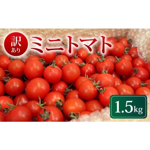 ふるさと納税 野菜類 トマト 千葉県 旭市 先行予約 訳あり ミニトマト 1.5kg 冷蔵配送 2026年5月・6月発送 トマト 旬 新鮮 野菜 やさい 夏野菜 とまと 簡易包…