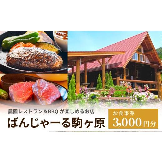 ふるさと納税 お食事券 愛知県 設楽町 農園レストラン&amp;BBQが楽しめる ログハウス ばんじゃーる駒ヶ原 お食事券 3000円 利用券 段戸山高原牛 ステーキ バー…