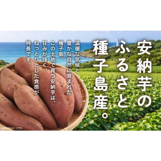 ふるさと納税 野菜類 サツマイモ 鹿児島県 南種子町 《4月から8月までの期間限定》安納干芋 有限会社ANNOUの画像