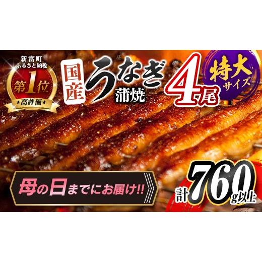 ふるさと納税 うなぎ 宮崎県 新富町 母の日までにお届け 特大 うなぎ 鰻楽 国産 蒲焼 4尾 計760g以上 無頭 高評価 おすすめ 冷凍 簡単調理 個包装 鰻 魚介 贈…