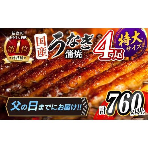 ふるさと納税 うなぎ 宮崎県 新富町 父の日までにお届け 特大 うなぎ 鰻楽 国産 蒲焼 4尾 計760g以上 無頭 高評価 おすすめ 冷凍 簡単調理 個包装 鰻 魚介 贈…
