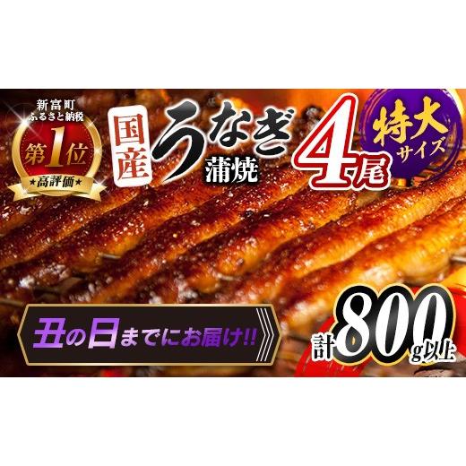 ふるさと納税 うなぎ 宮崎県 新富町 丑の日までにお届け 特大 うなぎ 鰻楽 国産 蒲焼 4尾 計800g以上 無頭 高評価 おすすめ 冷凍 簡単調理 個包装 鰻 魚介 贈…