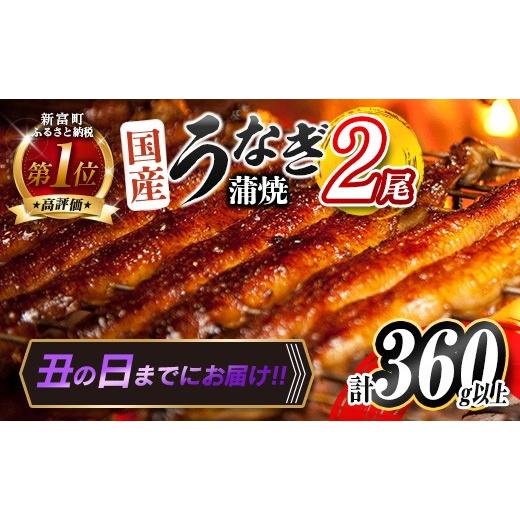 ふるさと納税 うなぎ 宮崎県 新富町 丑の日までにお届け 高評価 うなぎ 鰻楽 国産 蒲焼 2尾 人気 無頭 計360g以上 おすすめ 冷凍 簡単調理 個包装 鰻 魚介 贈…